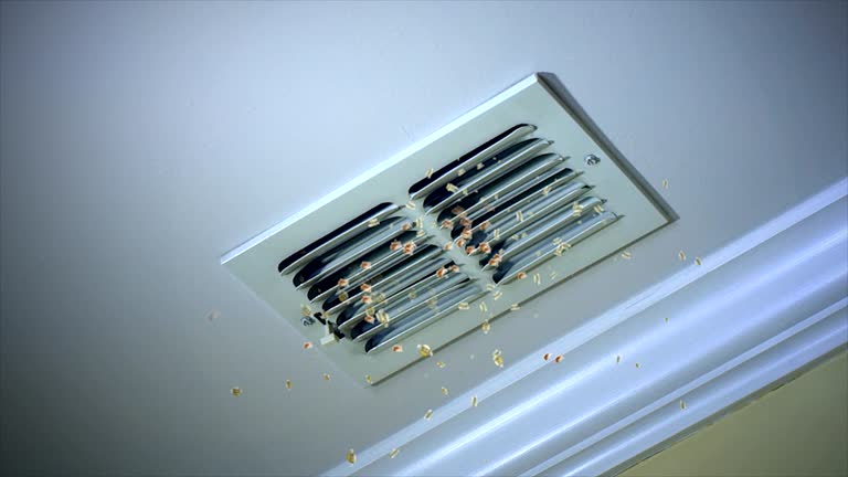Best HVAC System Cleaning  in New Paris, IN